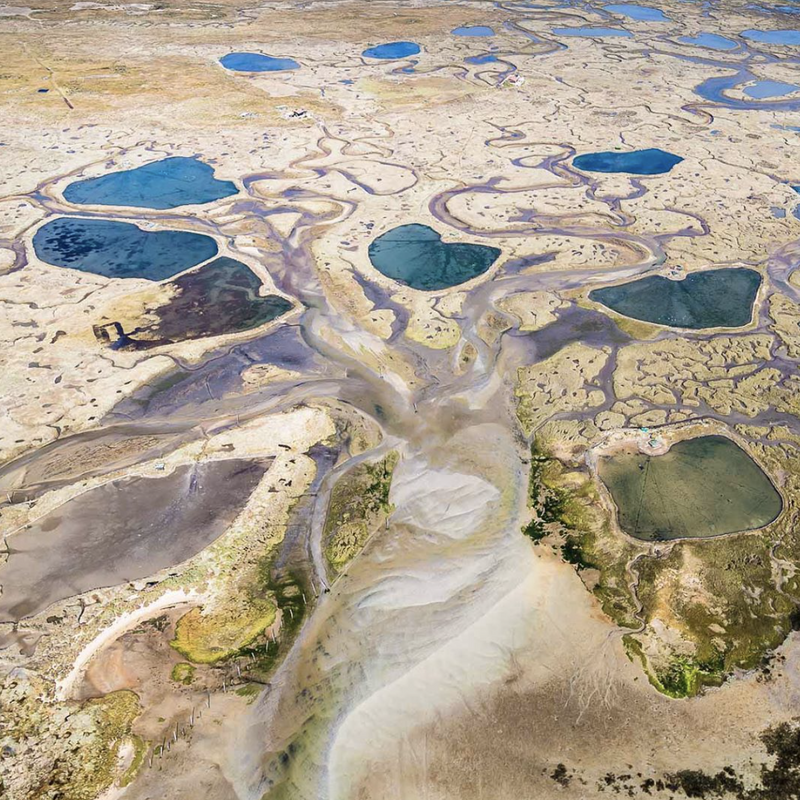 "Mon île" d'après une photographie Aérienne du bassin d'Arcachon