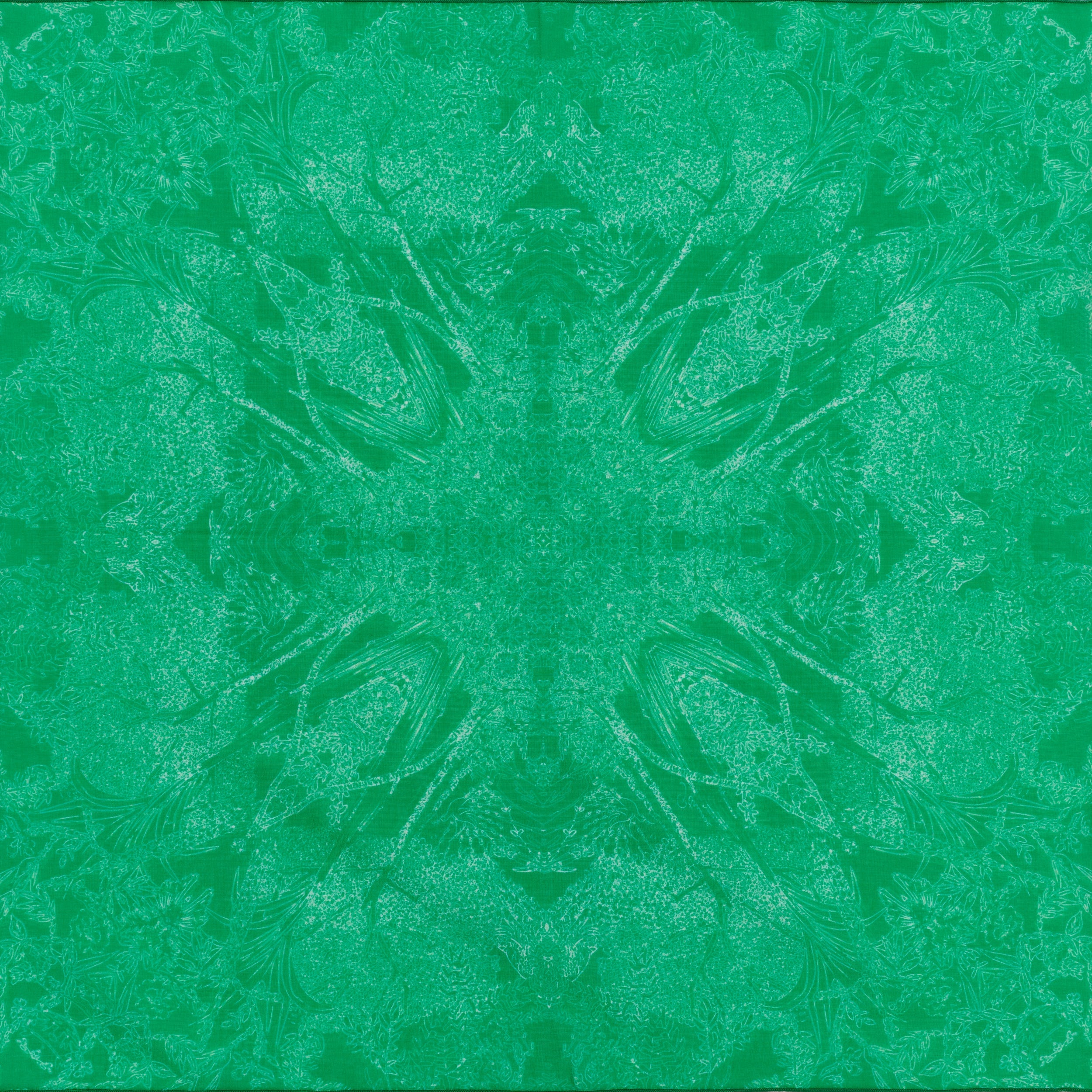 Petrusse Carre Coton 50 - Evanescent Vert