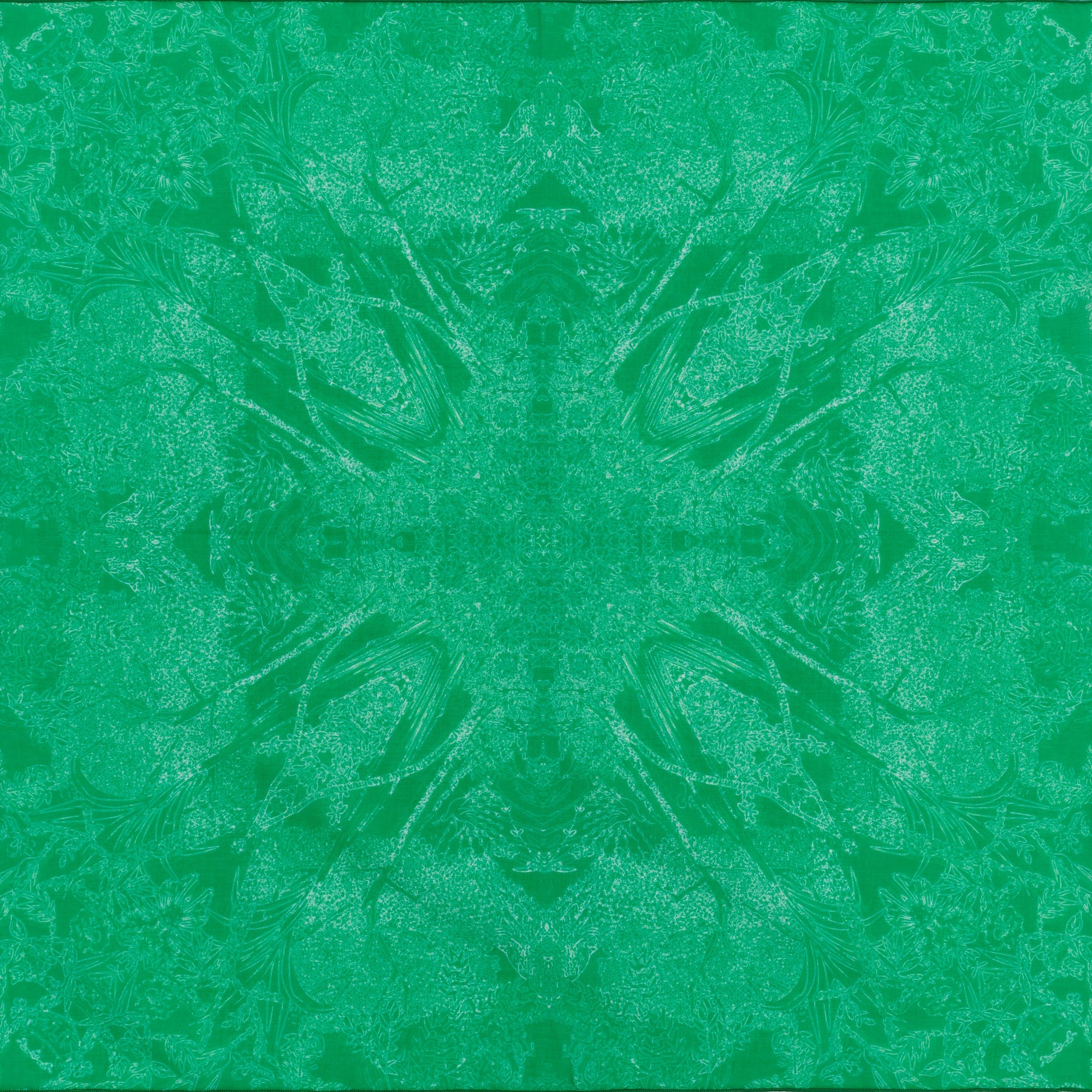 COTTON SCARF 50 - EVANESCENT GREEN