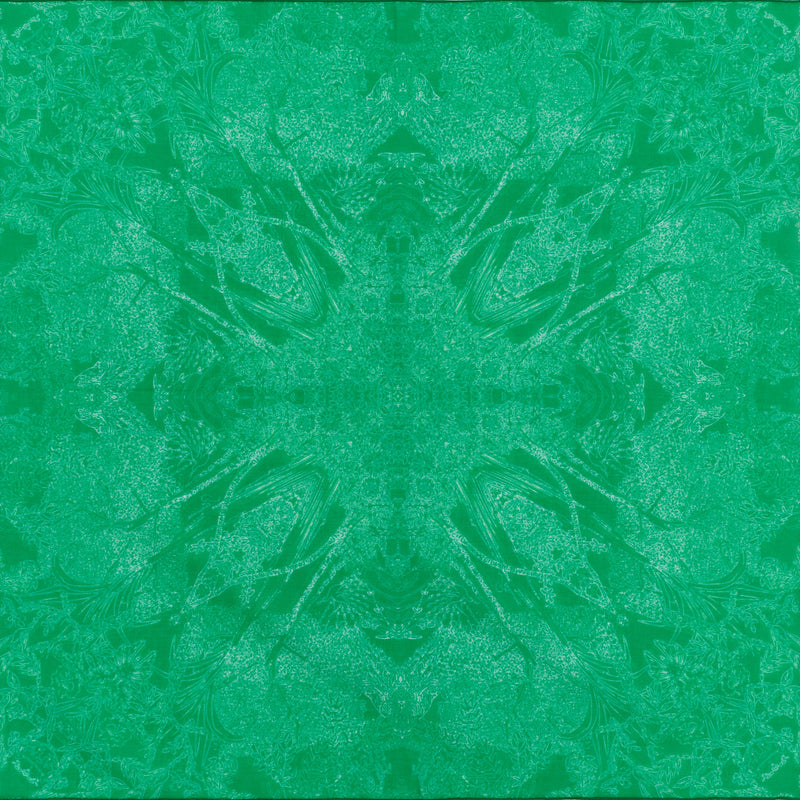 COTTON SCARF 50 - EVANESCENT GREEN