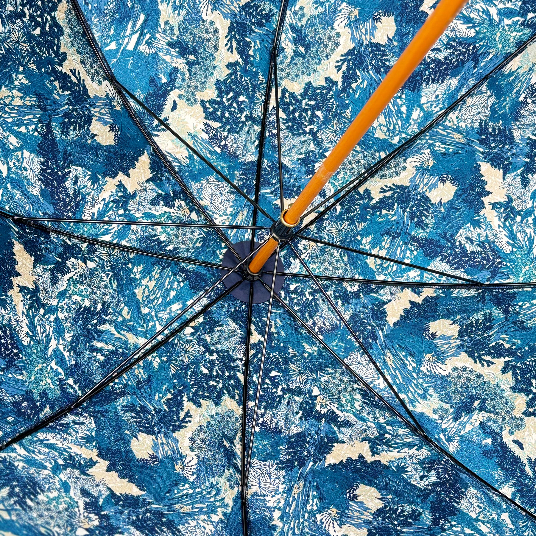 PARAPLUIE CHERBOURG X PETRUSSE