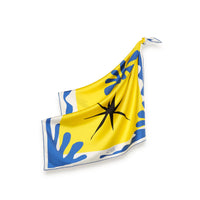 CARRE SOIE 65 - MATISSE PRINTEMPS