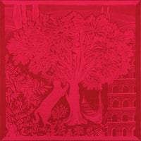 WOOL SCARF 100 - OLIVIER FUCHSIA