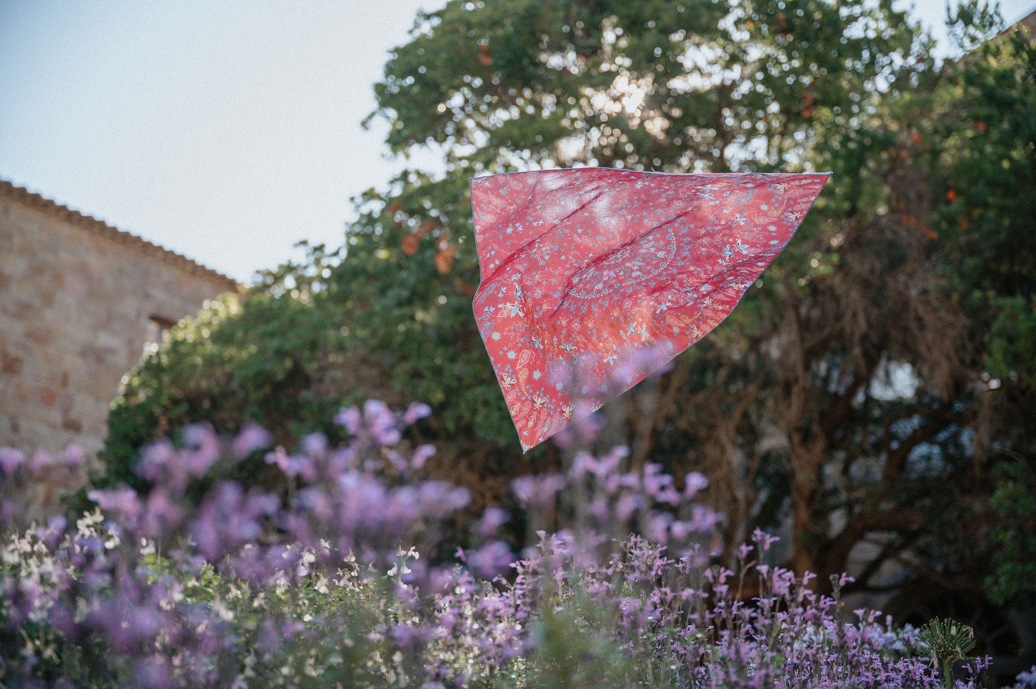 Écharpe pour femme ORIA Coton Rose 65 | Petrusse