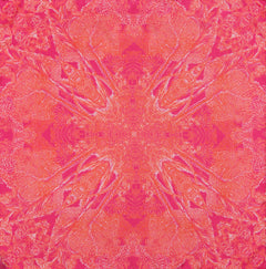 Petrusse - Euphoria Mini Rose Fraise