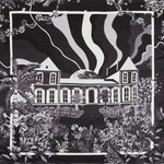 Petrusse Carre Soie 105 - Fantasy Noir