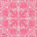 Petrusse Carre Coton 50 - Evanescent Rose