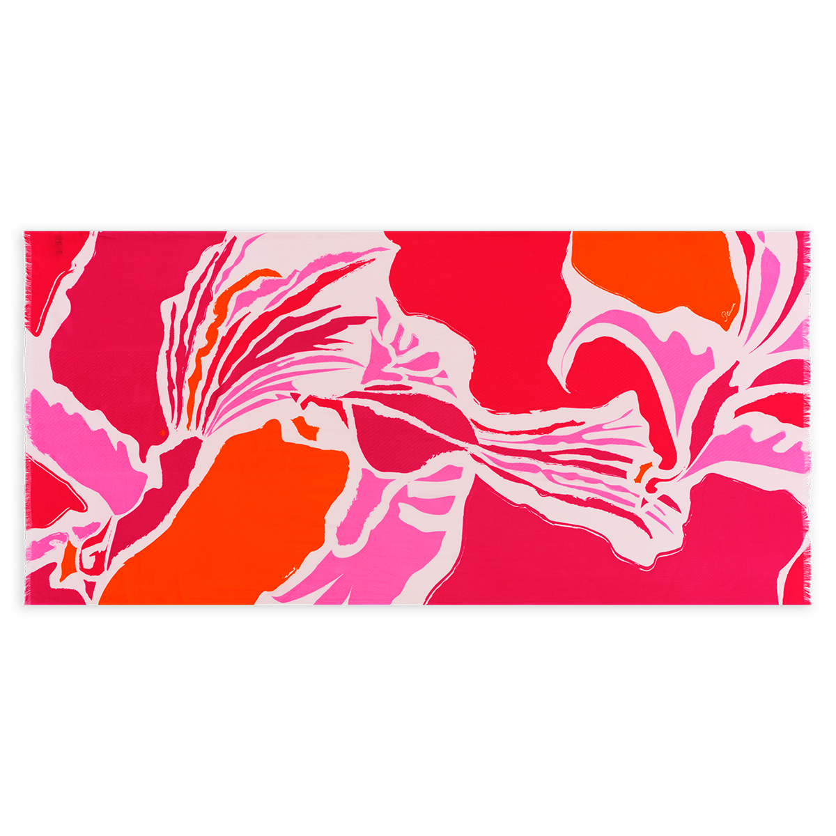 Petrusse Etole Calliope Rose