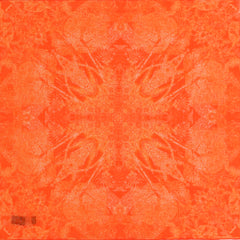 Petrusse Carre Coton 50 - Evanescent Orange